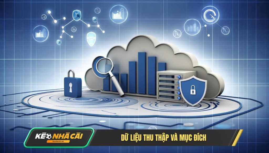 Chúng tôi thu thập những dữ liệu nào và vì mục đích gì_
