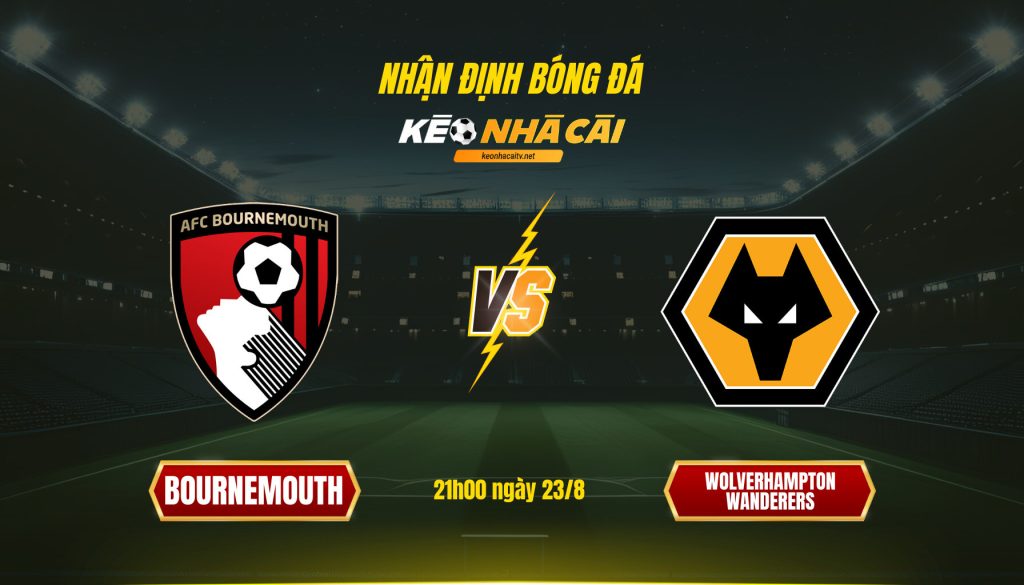 Soi kèo nhà cái